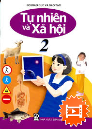 Chăm sóc bảo vệ cơ quan hô hấp