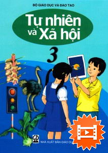 Cơ quan thần kinh